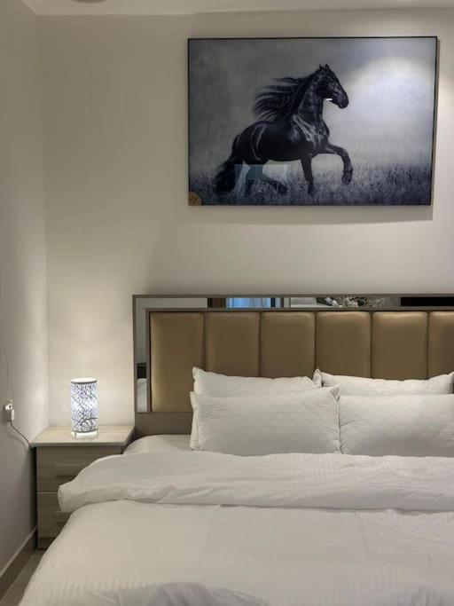 استديو بتصميم مودرين باليرموك Apartment